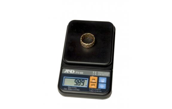 PV Pocket Compact Scale